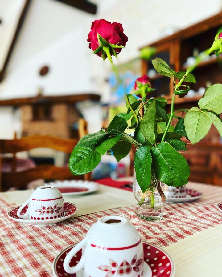 Il Ritrovo Delle Volpi Bed & Breakfast Agerola Ngoại thất bức ảnh
