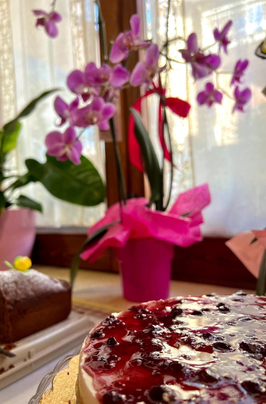 Il Ritrovo Delle Volpi Bed & Breakfast Agerola Ngoại thất bức ảnh