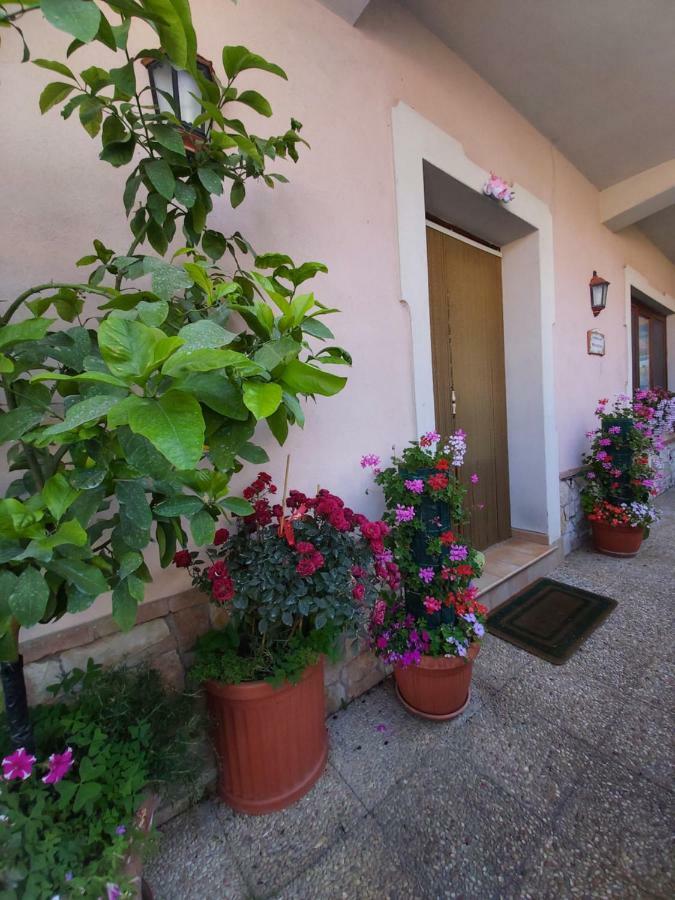 Il Ritrovo Delle Volpi Bed & Breakfast Agerola Ngoại thất bức ảnh